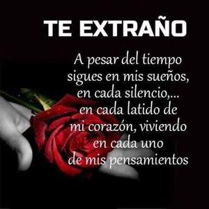 Meet your Posher, Noelia